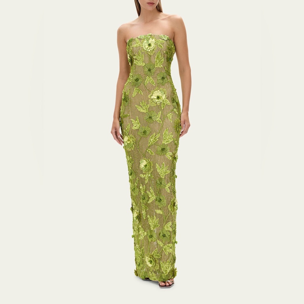 Rachel Gilbert New Pierre Embellished Gown Dress Floral Beaded Strapless Size 4